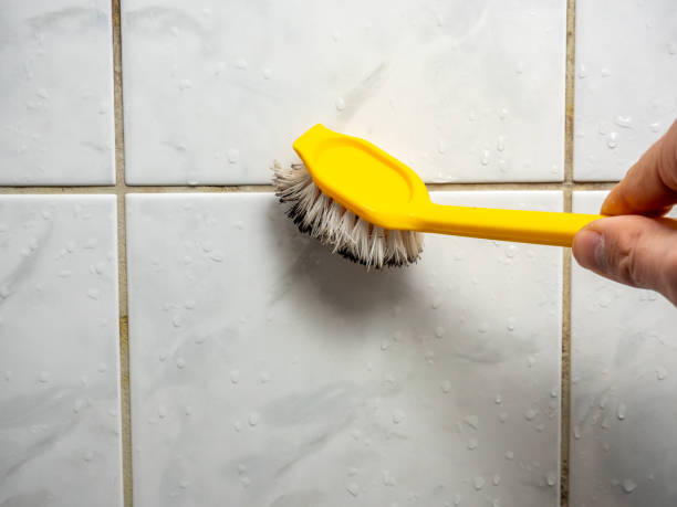 Best Commercial Mold Removal  in Plainview, TX