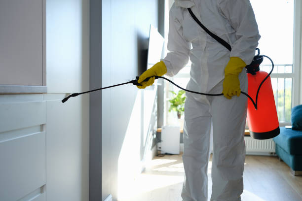 Best Mold Testing  in Plainview, TX